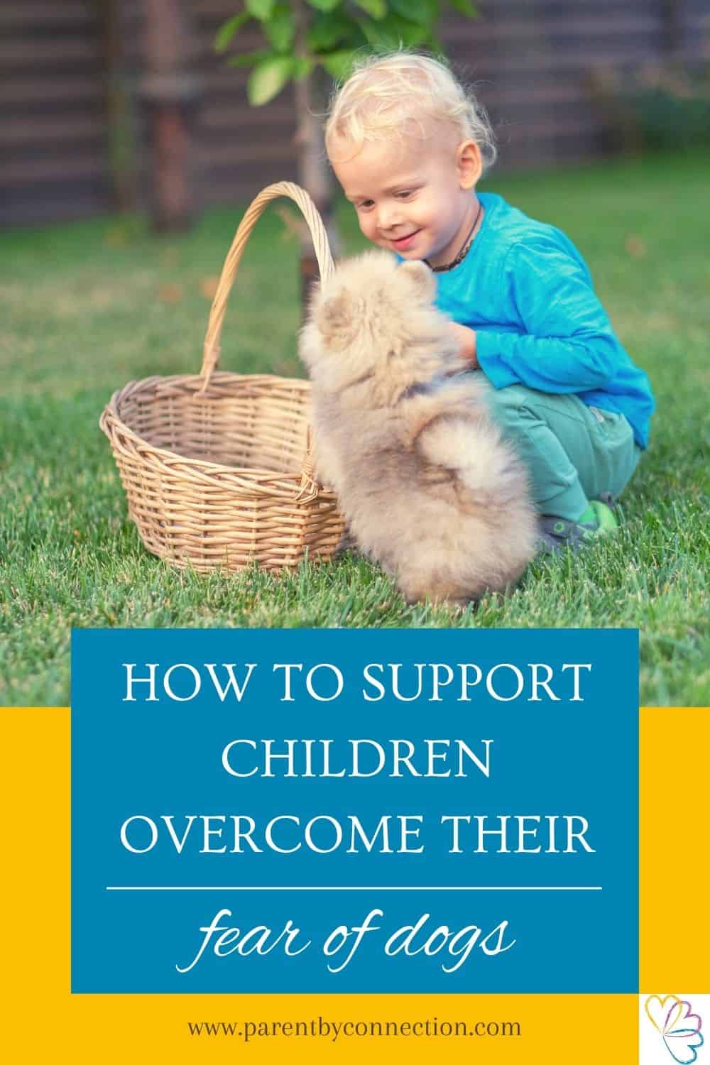ideas to support children overcome fear of dogs